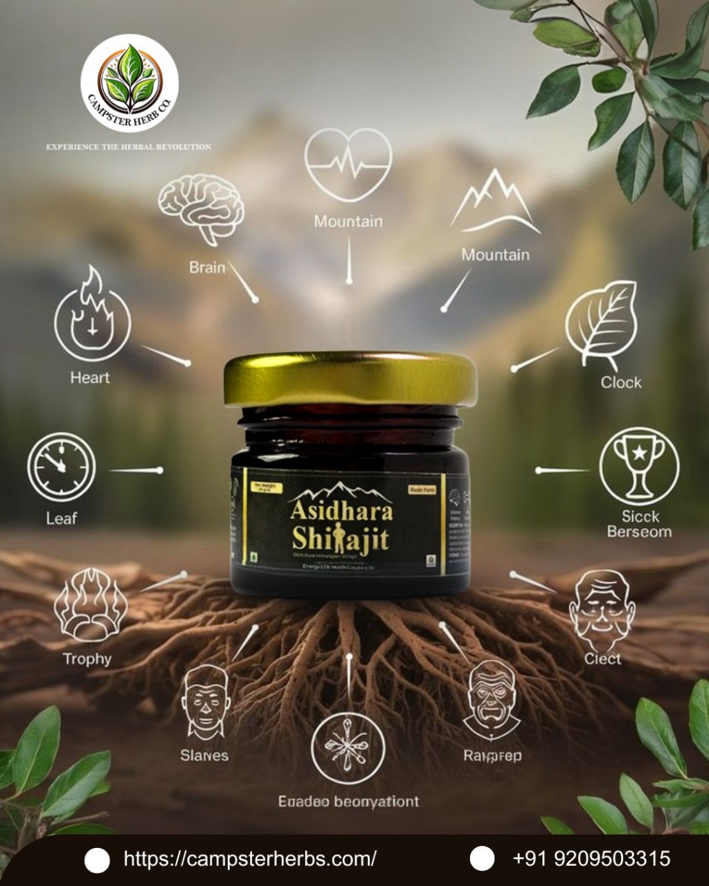 Lab Test Certificate