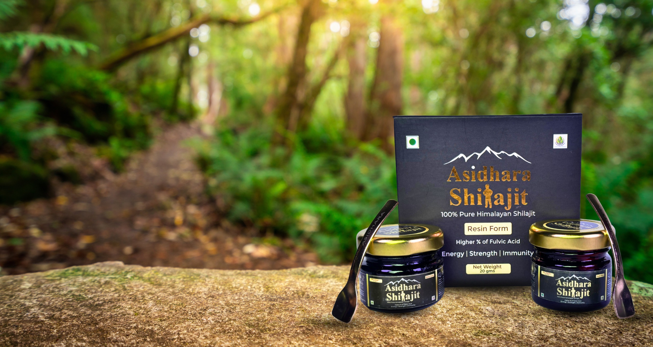 Himalayan Shilajit Source