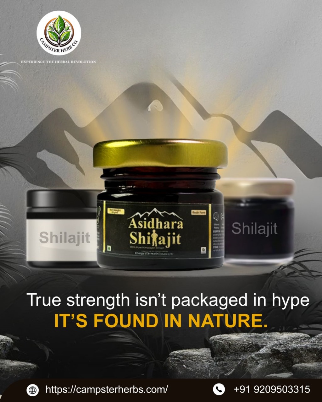 Shilajit Combo